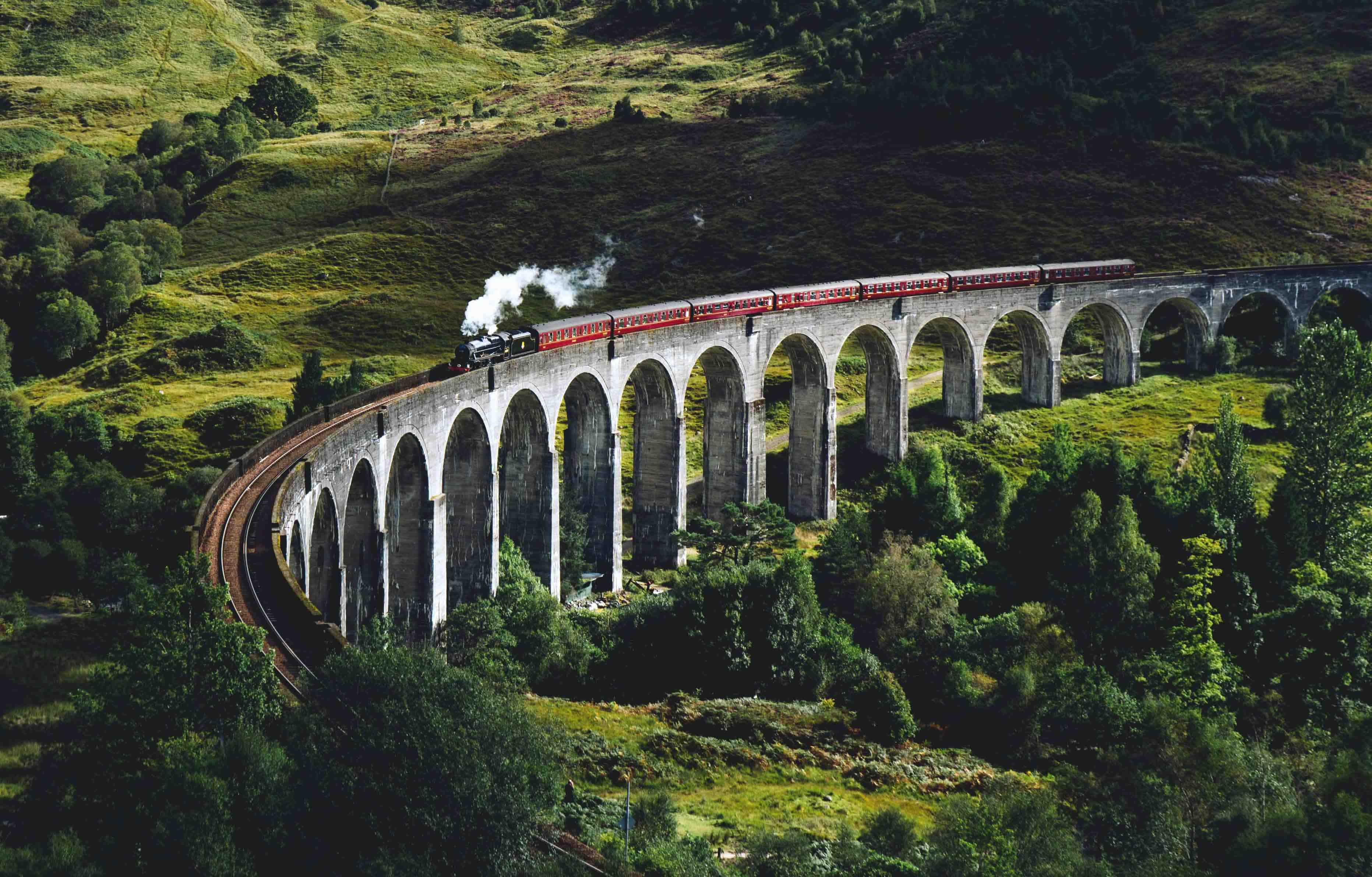 Train on old bridge in a green landscape